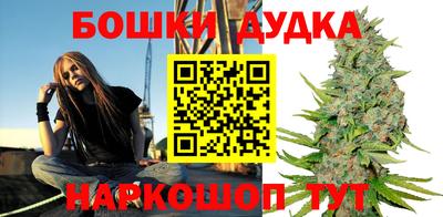 гидропоника Пугачёв