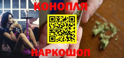 гидропоника Пугачёв