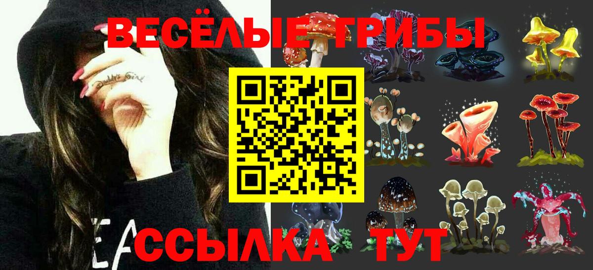 Псилоцибиновые грибы Psilocybine cubensis  Вход с VPN  Омск 